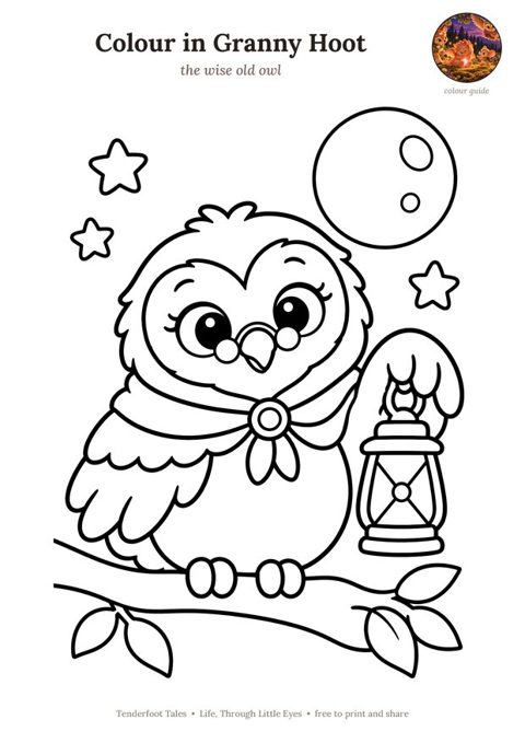 Preview of the Colour in Granny Hoot colouring page